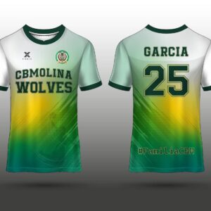 Camiseta de entrenamiento (Cubre) 25/26